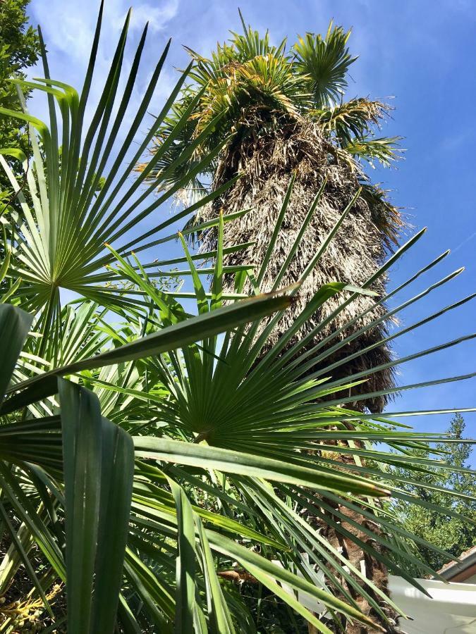 Palmera Mostar Exterior foto